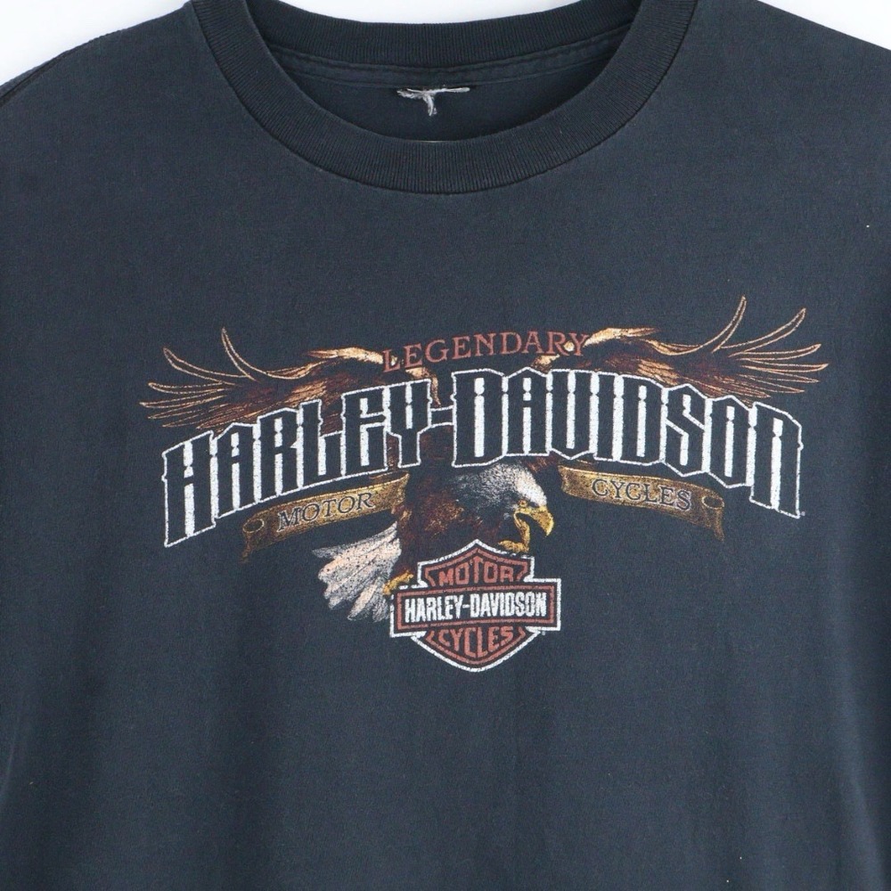 VTG Harley Davidson Eagle Front Back Graphic T-Shirt Faded 46" Chest No Tag